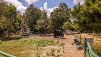 27516163