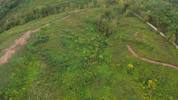 27516545