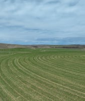 34055733