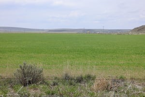 34054837
