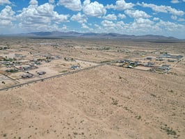 27519994