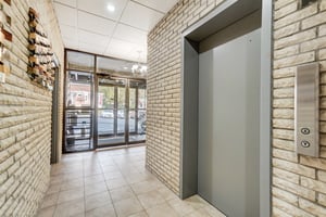 27520038