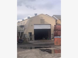 31516391
