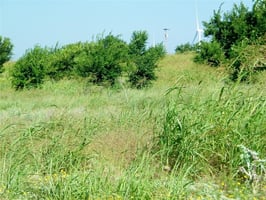 27526002