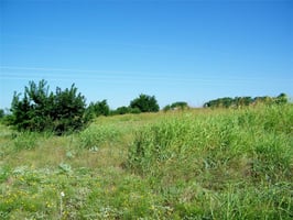 27527303