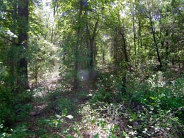 27527669