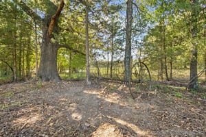 29281463