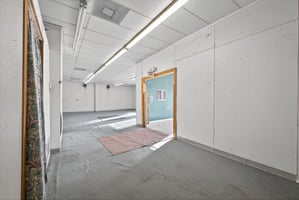 29134566