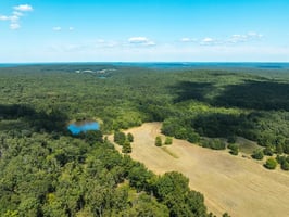 29125458