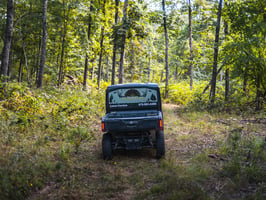34031474