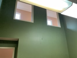 29550832