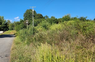 27541350