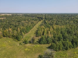 27545287