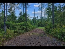 28281681