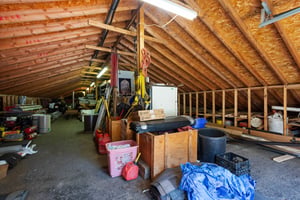 27545423