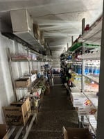 27548878