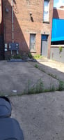 34289807