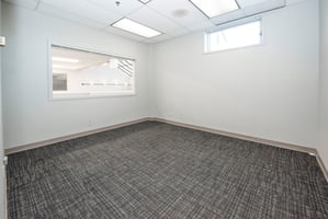 27553979