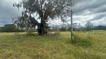27554241