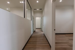 34504036