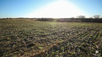 27585169