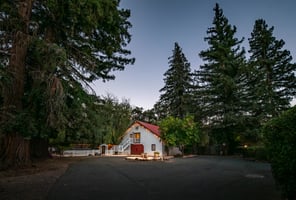 27650368