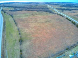 27593982