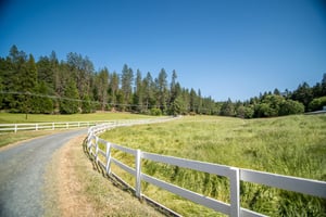 27595577
