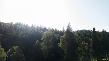 27595583