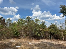 27596337