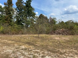 27596338