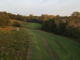 27596754
