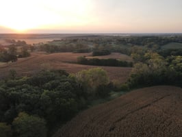 27596731