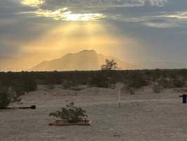 27599155