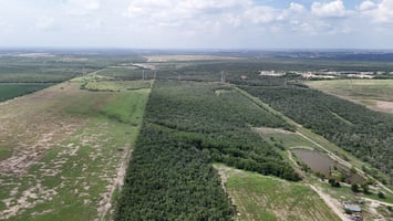 27604748
