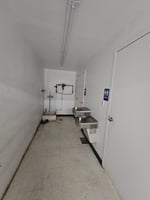 29291035