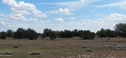 27616645