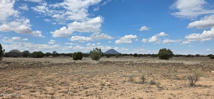 27616657