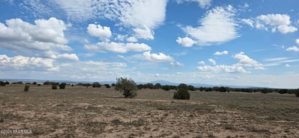 27616637