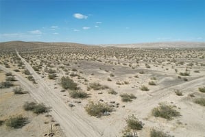 30675554