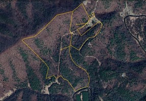 27626392