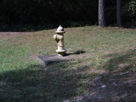 27631958