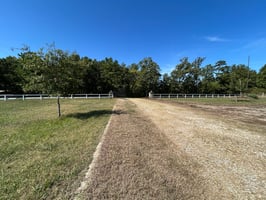 31633902