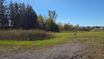27644294
