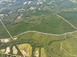 27644749