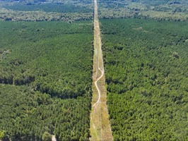 27644765