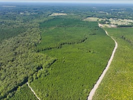27644770