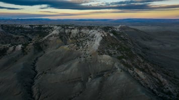 27645423