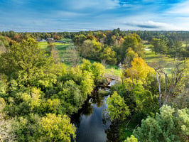 27646801