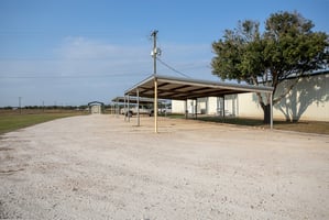 27648981